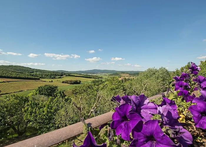 Podere Sant'alessandro Farma